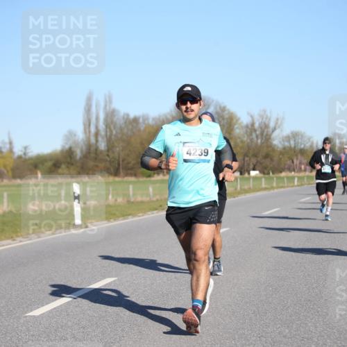 06.04.2025 - 44. Internationalen Wilhelmsburger Insellauf Jannik Wohlers http://msf.ph/oto/7615559 06.04.2025 09:34:50 Laufen 4239, 5096 meine-sportfotos.de