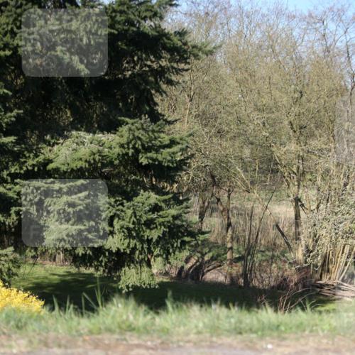 06.04.2025 - 44. Internationalen Wilhelmsburger Insellauf Jannik Wohlers http://msf.ph/oto/7618936 06.04.2025 09:59:07 Laufen  meine-sportfotos.de