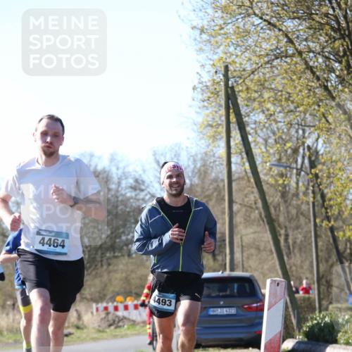 06.04.2025 - 44. Internationalen Wilhelmsburger Insellauf Jannik Wohlers http://msf.ph/oto/7621020 06.04.2025 10:09:18 Laufen 4464, 4493, 31, 4323 meine-sportfotos.de