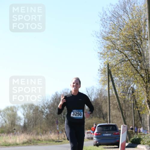 06.04.2025 - 44. Internationalen Wilhelmsburger Insellauf Jannik Wohlers http://msf.ph/oto/7621267 06.04.2025 10:11:34 Laufen 3250 meine-sportfotos.de