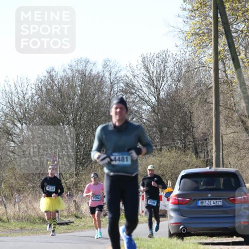 06.04.2025 - 44. Internationalen Wilhelmsburger Insellauf Jannik Wohlers http://msf.ph/oto/7622757 06.04.2025 10:23:39 Laufen 4481, 4222, 3592, 4380, 4321 meine-sportfotos.de