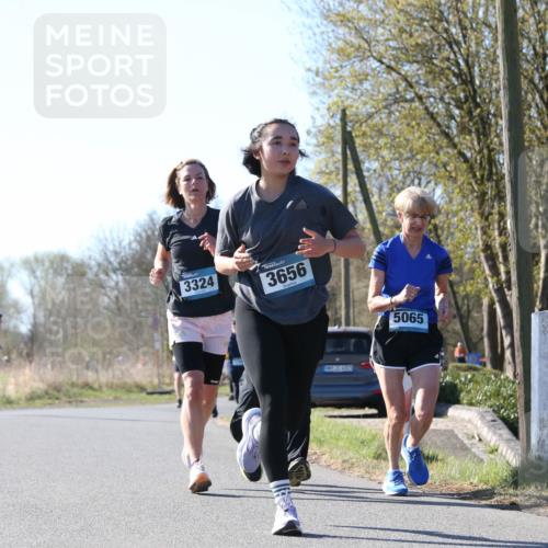 06.04.2025 - 44. Internationalen Wilhelmsburger Insellauf Jannik Wohlers http://msf.ph/oto/7622935 06.04.2025 10:24:41 Laufen 3324, 3656, 1428, 31, 4323, 5065 meine-sportfotos.de