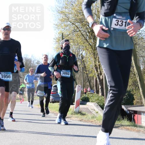 06.04.2025 - 44. Internationalen Wilhelmsburger Insellauf Jannik Wohlers http://msf.ph/oto/7623524 06.04.2025 10:28:50 Laufen 4448, 3956, 3, 4475, 4245, 3893, 331 meine-sportfotos.de