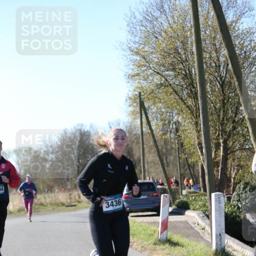06.04.2025 - 44. Internationalen Wilhelmsburger Insellauf Jannik Wohlers http://msf.ph/oto/7624079 06.04.2025 10:32:55 Laufen 08, 3436 meine-sportfotos.de