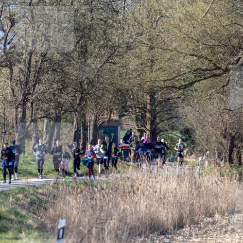 06.04.2025 - 44. Internationalen Wilhelmsburger Insellauf Michael Strokosch http://msf.ph/oto/7624843 06.04.2025 10:43:46 Laufen  meine-sportfotos.de