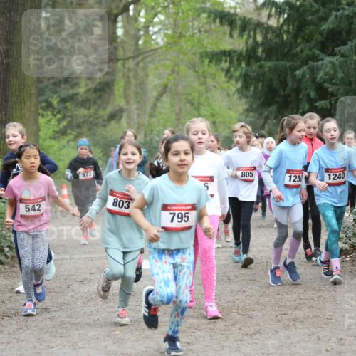 13.04.2025 - Hammer Lauf Jannik Wohlers http://msf.ph/oto/7626128 13.04.2025 08:22:51 Laufen 542, 973, 803, 16, 795, 805, 1250, 1240, 6 meine-sportfotos.de