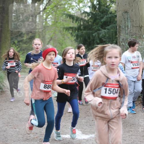 13.04.2025 - Hammer Lauf Jannik Wohlers http://msf.ph/oto/7626198 13.04.2025 08:22:33 Laufen 798, 84, 15, 886, 15, 50, 857, 808, 1536, 1428, 1504, 12 meine-sportfotos.de