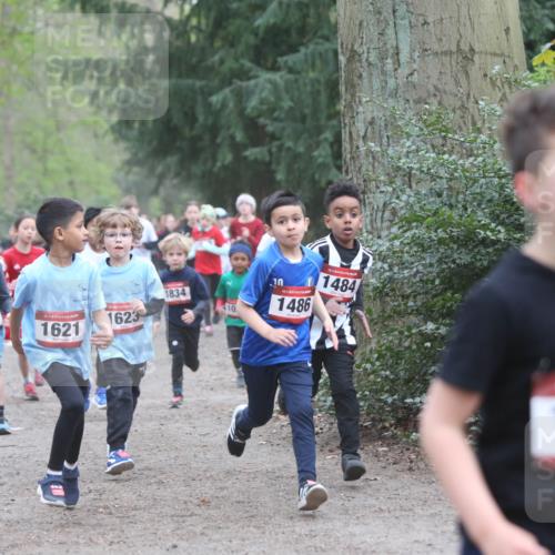 13.04.2025 - Hammer Lauf Jannik Wohlers http://msf.ph/oto/7626372 13.04.2025 08:21:47 Laufen 403, 1429, 15, 1621, 1623, 1834, 10, 10, 15, 1486, 15, 1484, 142 meine-sportfotos.de
