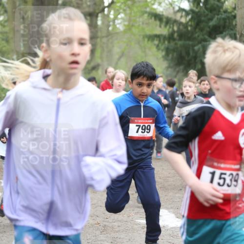 13.04.2025 - Hammer Lauf Jannik Wohlers http://msf.ph/oto/7626443 13.04.2025 08:21:32 Laufen 15, 799, 1539, 1 meine-sportfotos.de