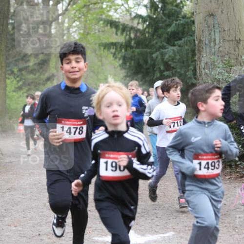 13.04.2025 - Hammer Lauf Jannik Wohlers http://msf.ph/oto/7626475 13.04.2025 08:21:24 Laufen 15, 1478, 190, 712, 1493, 15, 142 meine-sportfotos.de