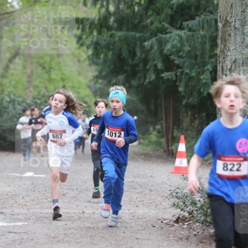 13.04.2025 - Hammer Lauf Jannik Wohlers http://msf.ph/oto/7626691 13.04.2025 08:20:31 Laufen 14, 0, 687, 19, 1012, 822 meine-sportfotos.de