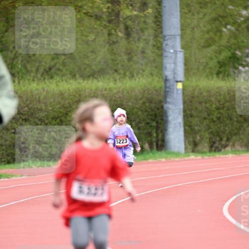 13.04.2025 - Hammer Lauf Dr. Thomas Lammeyer http://msf.ph/oto/7627216 13.04.2025 09:02:39 Laufen 5223 meine-sportfotos.de