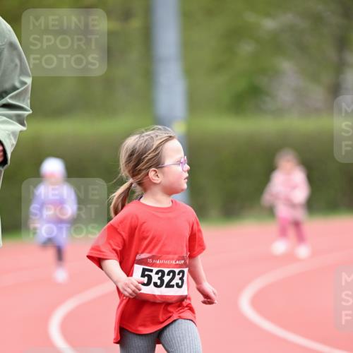 13.04.2025 - Hammer Lauf Dr. Thomas Lammeyer http://msf.ph/oto/7627224 13.04.2025 09:02:40 Laufen 15, 5323 meine-sportfotos.de