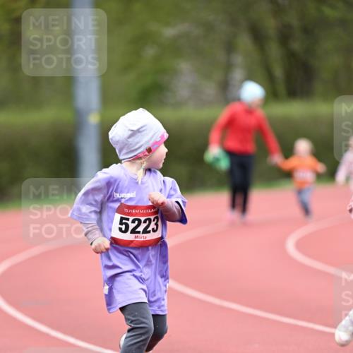 13.04.2025 - Hammer Lauf Dr. Thomas Lammeyer http://msf.ph/oto/7627277 13.04.2025 09:02:47 Laufen 15, 5223 meine-sportfotos.de