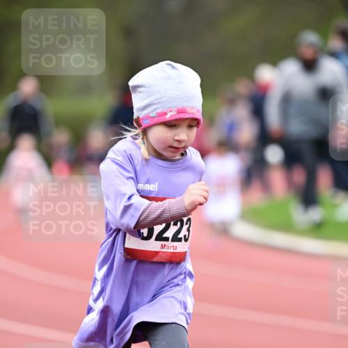 13.04.2025 - Hammer Lauf Dr. Thomas Lammeyer http://msf.ph/oto/7627290 13.04.2025 09:02:49 Laufen 223 meine-sportfotos.de