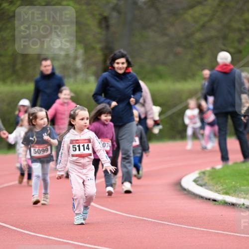 13.04.2025 - Hammer Lauf Dr. Thomas Lammeyer http://msf.ph/oto/7627317 13.04.2025 09:02:54 Laufen 5099, 15, 5114, 07 meine-sportfotos.de