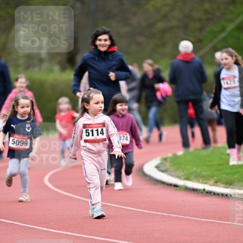 13.04.2025 - Hammer Lauf Dr. Thomas Lammeyer http://msf.ph/oto/7627327 13.04.2025 09:02:55 Laufen 5099, 15, 5114, 74, 742 meine-sportfotos.de