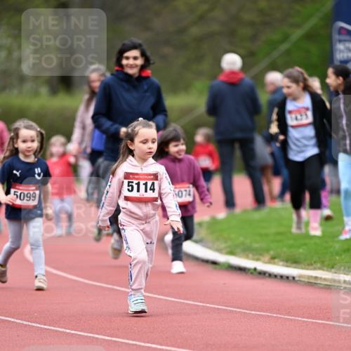13.04.2025 - Hammer Lauf Dr. Thomas Lammeyer http://msf.ph/oto/7627332 13.04.2025 09:02:55 Laufen 5099, 15, 5114, 074 meine-sportfotos.de