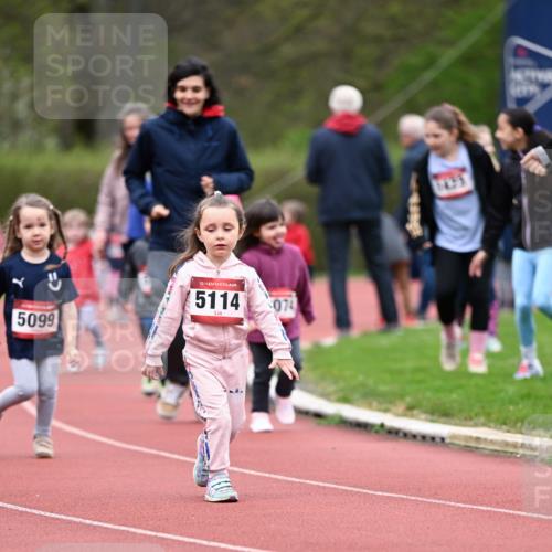 13.04.2025 - Hammer Lauf Dr. Thomas Lammeyer http://msf.ph/oto/7627333 13.04.2025 09:02:55 Laufen 5099, 15, 5114, 074 meine-sportfotos.de