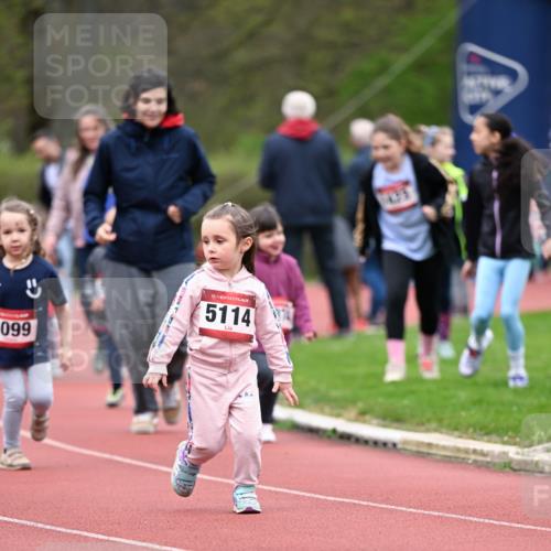 13.04.2025 - Hammer Lauf Dr. Thomas Lammeyer http://msf.ph/oto/7627336 13.04.2025 09:02:56 Laufen 099, 15, 5114, 1125 meine-sportfotos.de