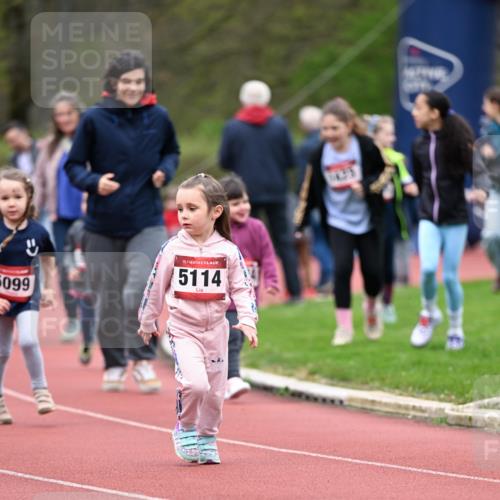 13.04.2025 - Hammer Lauf Dr. Thomas Lammeyer http://msf.ph/oto/7627337 13.04.2025 09:02:56 Laufen 5099, 15, 5114 meine-sportfotos.de