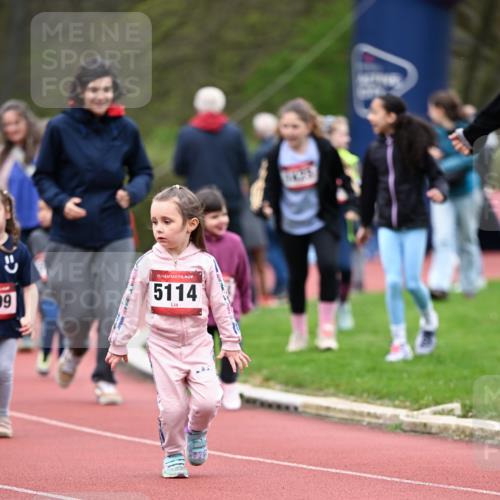 13.04.2025 - Hammer Lauf Dr. Thomas Lammeyer http://msf.ph/oto/7627339 13.04.2025 09:02:56 Laufen 99, 15, 5114 meine-sportfotos.de