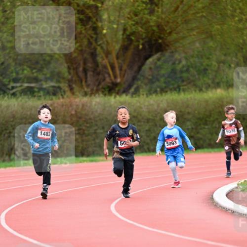 13.04.2025 - Hammer Lauf Dr. Thomas Lammeyer http://msf.ph/oto/7627569 13.04.2025 09:09:59 Laufen 1483, 50, 5078, 5093 meine-sportfotos.de