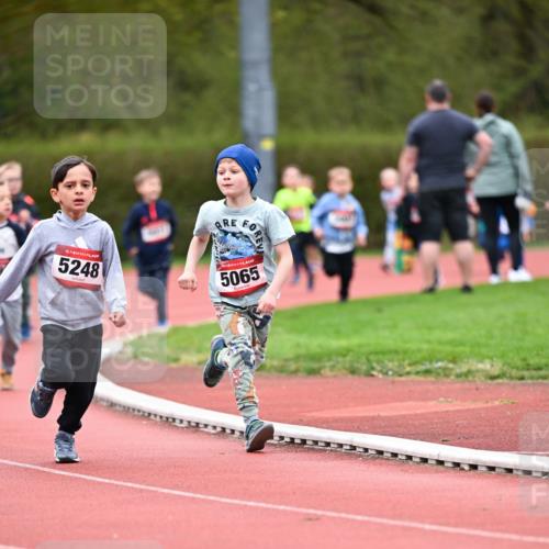 13.04.2025 - Hammer Lauf Dr. Thomas Lammeyer http://msf.ph/oto/7627627 13.04.2025 09:10:09 Laufen 15, 5248, 437, 5065 meine-sportfotos.de