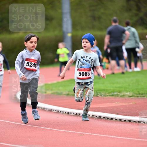 13.04.2025 - Hammer Lauf Dr. Thomas Lammeyer http://msf.ph/oto/7627630 13.04.2025 09:10:09 Laufen 15, 5248, 15, 5065 meine-sportfotos.de