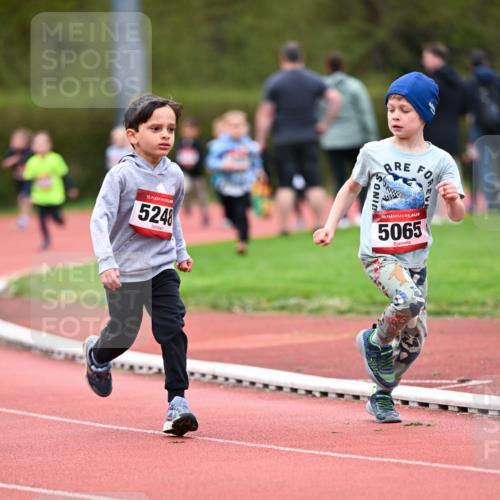 13.04.2025 - Hammer Lauf Dr. Thomas Lammeyer http://msf.ph/oto/7627635 13.04.2025 09:10:10 Laufen 15, 5248, 15, 5065 meine-sportfotos.de
