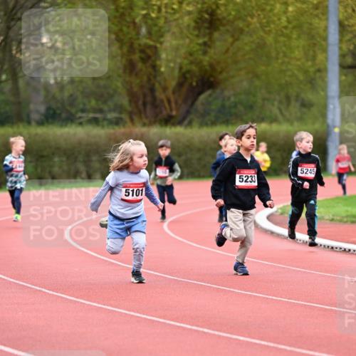 13.04.2025 - Hammer Lauf Dr. Thomas Lammeyer http://msf.ph/oto/7627699 13.04.2025 09:10:21 Laufen 15, 5101, 5233, 5245 meine-sportfotos.de
