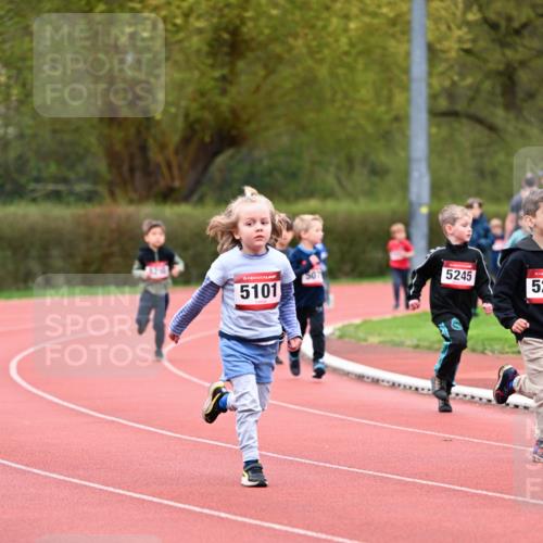 13.04.2025 - Hammer Lauf Dr. Thomas Lammeyer http://msf.ph/oto/7627704 13.04.2025 09:10:22 Laufen 320, 15, 5101, 507, 5245, 52 meine-sportfotos.de