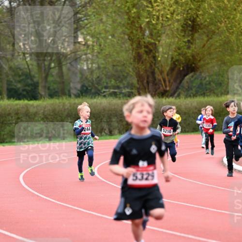 13.04.2025 - Hammer Lauf Dr. Thomas Lammeyer http://msf.ph/oto/7627708 13.04.2025 09:10:23 Laufen 244, 5329, 5210, 5330 meine-sportfotos.de