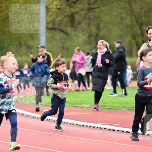13.04.2025 - Hammer Lauf Dr. Thomas Lammeyer http://msf.ph/oto/7627723 13.04.2025 09:10:25 Laufen 210, 821 meine-sportfotos.de