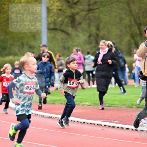 13.04.2025 - Hammer Lauf Dr. Thomas Lammeyer http://msf.ph/oto/7627724 13.04.2025 09:10:26 Laufen 53, 524, 15, 5210 meine-sportfotos.de
