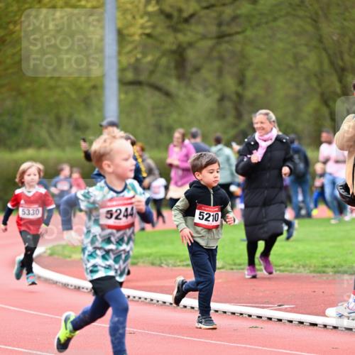 13.04.2025 - Hammer Lauf Dr. Thomas Lammeyer http://msf.ph/oto/7627725 13.04.2025 09:10:26 Laufen 5330, 5244, 5210 meine-sportfotos.de