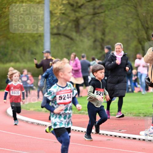 13.04.2025 - Hammer Lauf Dr. Thomas Lammeyer http://msf.ph/oto/7627726 13.04.2025 09:10:26 Laufen 5330, 5244, 15, 520 meine-sportfotos.de