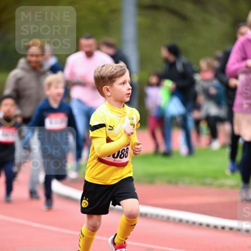 13.04.2025 - Hammer Lauf Dr. Thomas Lammeyer http://msf.ph/oto/7627768 13.04.2025 09:10:33 Laufen 88 meine-sportfotos.de