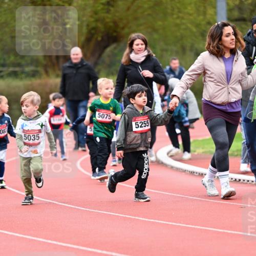 13.04.2025 - Hammer Lauf Dr. Thomas Lammeyer http://msf.ph/oto/7627815 13.04.2025 09:10:41 Laufen 08, 5035, 5075, 15, 5255 meine-sportfotos.de
