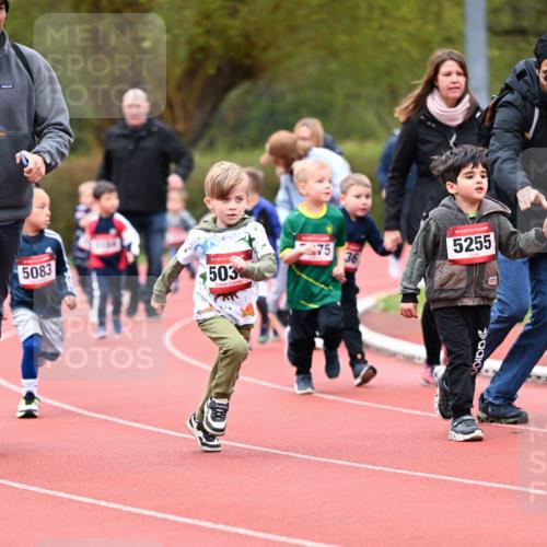 13.04.2025 - Hammer Lauf Dr. Thomas Lammeyer http://msf.ph/oto/7627820 13.04.2025 09:10:42 Laufen 5083, 503, 75, 36, 15, 5255 meine-sportfotos.de