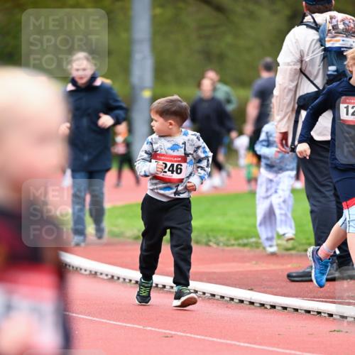 13.04.2025 - Hammer Lauf Dr. Thomas Lammeyer http://msf.ph/oto/7627889 13.04.2025 09:10:54 Laufen 15, 246, 15, 12 meine-sportfotos.de