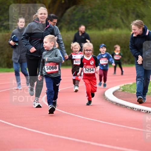 13.04.2025 - Hammer Lauf Dr. Thomas Lammeyer http://msf.ph/oto/7627894 13.04.2025 09:10:55 Laufen 5066, 505, 5254, 5240 meine-sportfotos.de