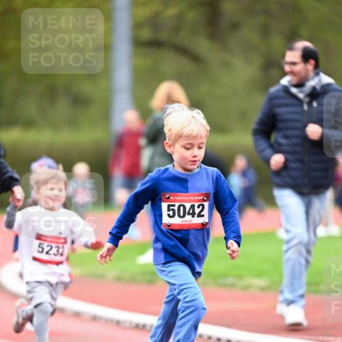 13.04.2025 - Hammer Lauf Dr. Thomas Lammeyer http://msf.ph/oto/7627948 13.04.2025 09:11:05 Laufen 5232, 15, 5042 meine-sportfotos.de