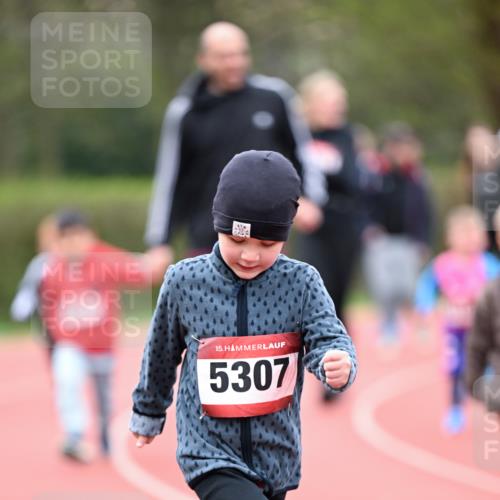 13.04.2025 - Hammer Lauf Dr. Thomas Lammeyer http://msf.ph/oto/7628048 13.04.2025 09:11:37 Laufen 15, 5307 meine-sportfotos.de