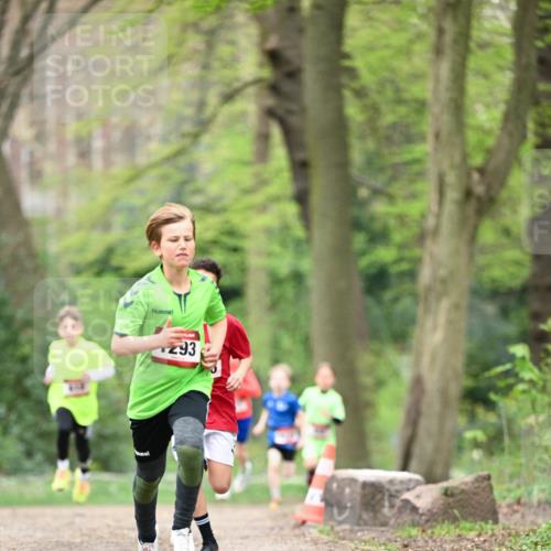 13.04.2025 - Hammer Lauf Dr. Thomas Lammeyer http://msf.ph/oto/7628294 13.04.2025 09:21:58 Laufen 293 meine-sportfotos.de