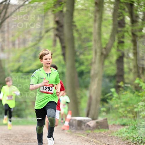 13.04.2025 - Hammer Lauf Dr. Thomas Lammeyer http://msf.ph/oto/7628306 13.04.2025 09:21:59 Laufen 1293 meine-sportfotos.de