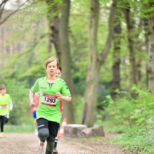 13.04.2025 - Hammer Lauf Dr. Thomas Lammeyer http://msf.ph/oto/7628312 13.04.2025 09:21:59 Laufen 15, 1293 meine-sportfotos.de