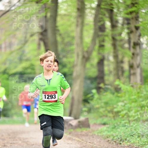 13.04.2025 - Hammer Lauf Dr. Thomas Lammeyer http://msf.ph/oto/7628317 13.04.2025 09:21:59 Laufen 15, 1293 meine-sportfotos.de