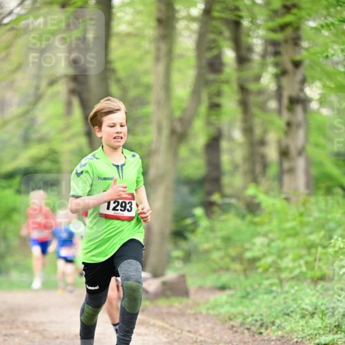 13.04.2025 - Hammer Lauf Dr. Thomas Lammeyer http://msf.ph/oto/7628320 13.04.2025 09:22:00 Laufen 1293 meine-sportfotos.de