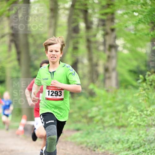 13.04.2025 - Hammer Lauf Dr. Thomas Lammeyer http://msf.ph/oto/7628325 13.04.2025 09:22:00 Laufen 15, 1293 meine-sportfotos.de